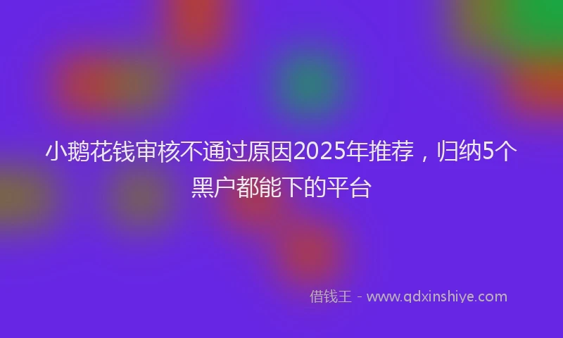 小鹅花钱审核不通过原因2025年推荐，归纳5个黑户都能下的平台