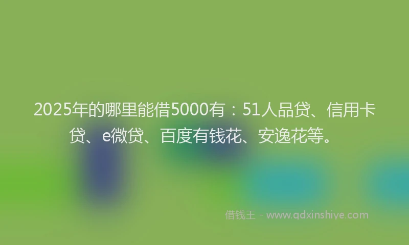 2025年的哪里能借5000有：51人品贷、信用卡贷、e微贷、百度有钱花、安逸花等。