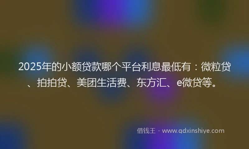 2025年的小额贷款哪个平台利息最低有：微粒贷、拍拍贷、美团生活费、东方汇、e微贷等。