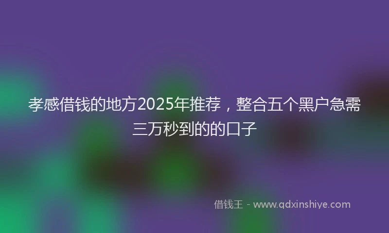 孝感借钱的地方2025年推荐，整合五个黑户急需三万秒到的的口子