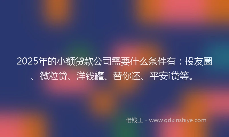 2025年的小额贷款公司需要什么条件有：投友圈、微粒贷、洋钱罐、替你还、平安i贷等。