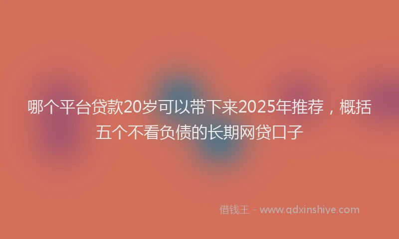 哪个平台贷款20岁可以带下来2025年推荐，概括五个不看负债的长期网贷口子