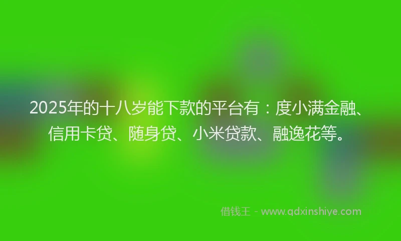 2025年的十八岁能下款的平台有：度小满金融、信用卡贷、随身贷、小米贷款、融逸花等。