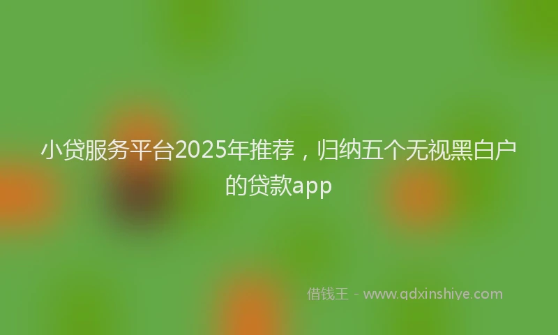 小贷服务平台2025年推荐，归纳五个无视黑白户的贷款app