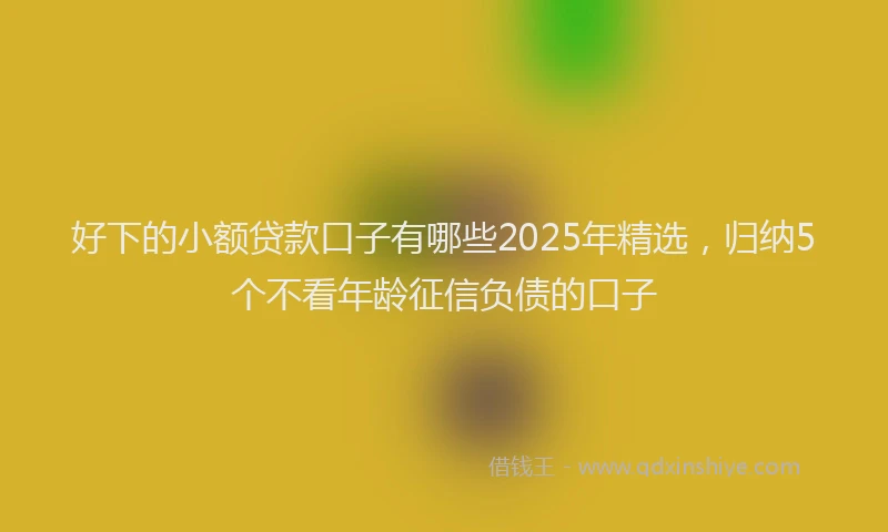 好下的小额贷款口子有哪些2025年精选，归纳5个不看年龄征信负债的口子