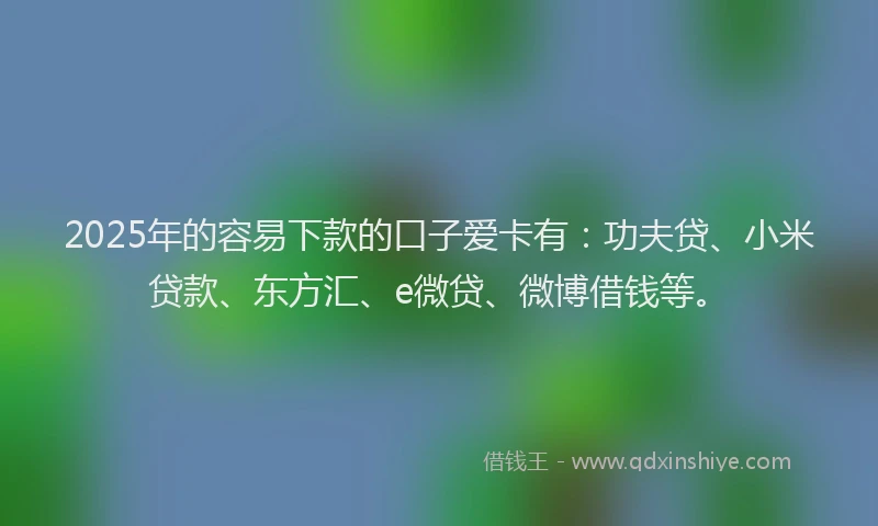 2025年的容易下款的口子爱卡有：功夫贷、小米贷款、东方汇、e微贷、微博借钱等。