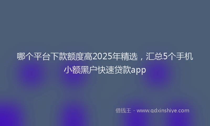 哪个平台下款额度高2025年精选，汇总5个手机小额黑户快速贷款app