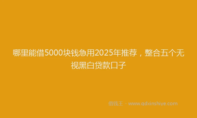 哪里能借5000块钱急用2025年推荐，整合五个无视黑白贷款口子