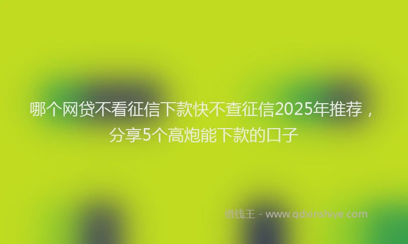 哪个网贷不看征信下款快不查征信2025年推荐，分享5个高炮能下款的口子