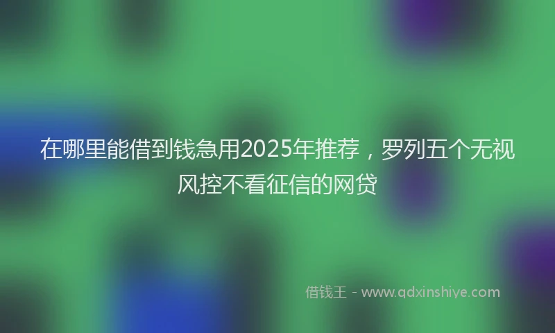 在哪里能借到钱急用2025年推荐，罗列五个无视风控不看征信的网贷