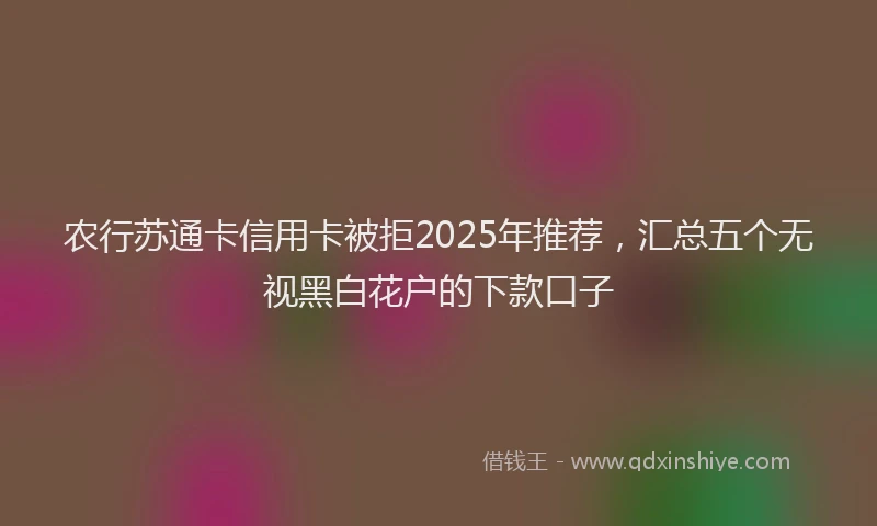农行苏通卡信用卡被拒2025年推荐，汇总五个无视黑白花户的下款口子