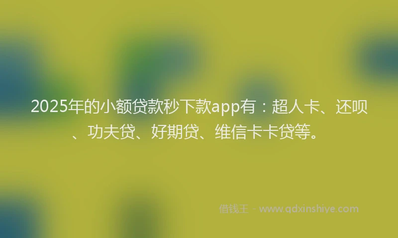 2025年的小额贷款秒下款app有：超人卡、还呗、功夫贷、好期贷、维信卡卡贷等。