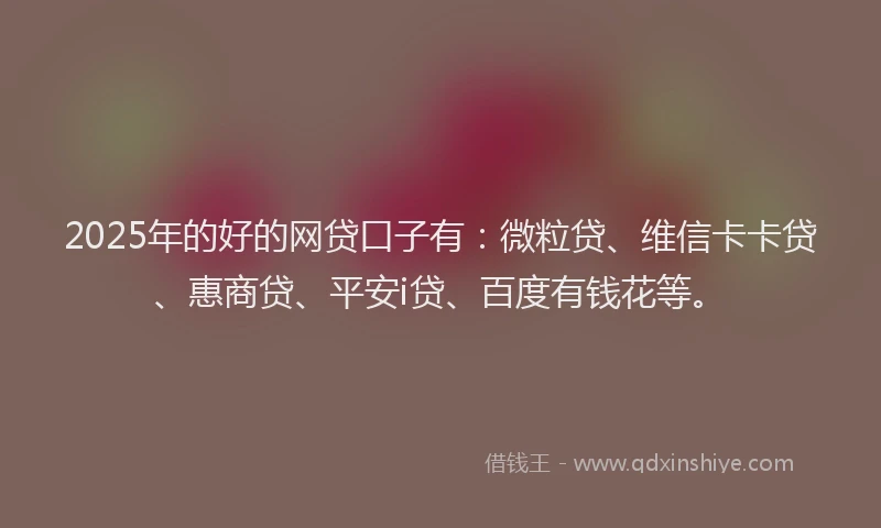 2025年的好的网贷口子有：微粒贷、维信卡卡贷、惠商贷、平安i贷、百度有钱花等。