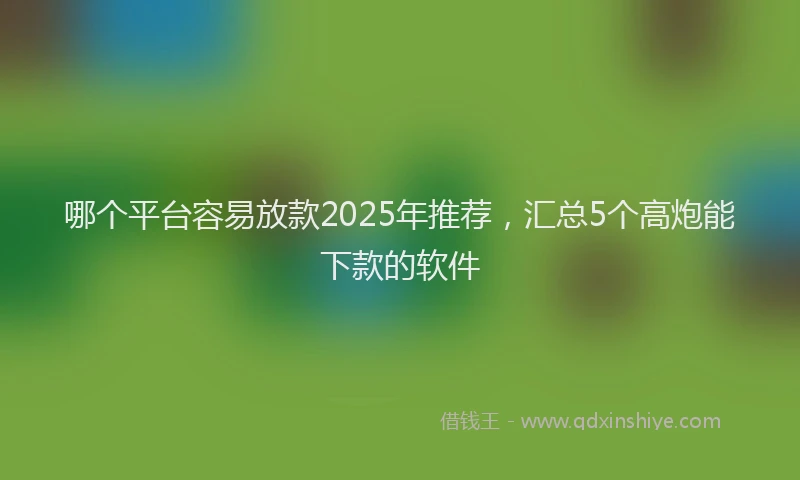 哪个平台容易放款2025年推荐，汇总5个高炮能下款的软件