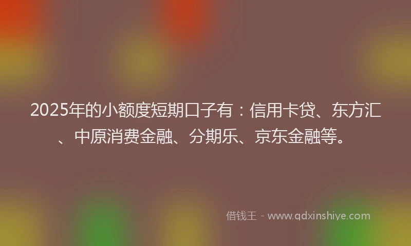 2025年的小额度短期口子有：信用卡贷、东方汇、中原消费金融、分期乐、京东金融等。