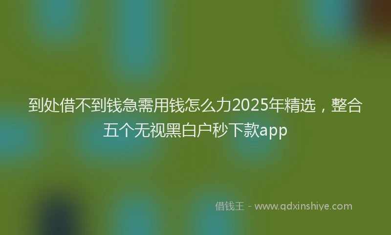 到处借不到钱急需用钱怎么力2025年精选，整合五个无视黑白户秒下款app