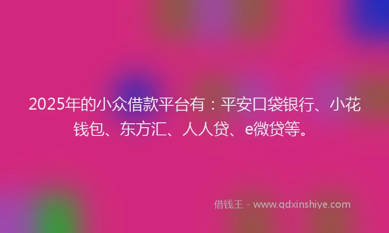 2025年的小众借款平台有：平安口袋银行、小花钱包、东方汇、人人贷、e微贷等。