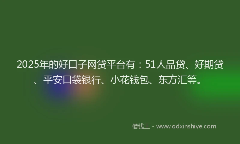 2025年的好口子网贷平台有：51人品贷、好期贷、平安口袋银行、小花钱包、东方汇等。
