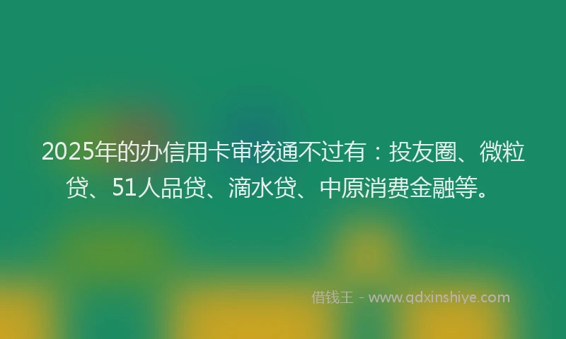2025年的办信用卡审核通不过有：投友圈、微粒贷、51人品贷、滴水贷、中原消费金融等。