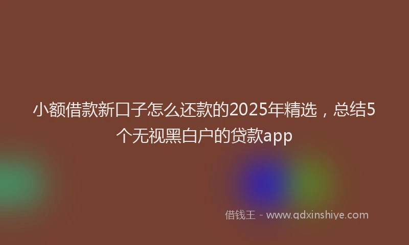 小额借款新口子怎么还款的2025年精选，总结5个无视黑白户的贷款app