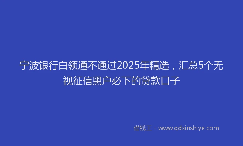 宁波银行白领通不通过2025年精选，汇总5个无视征信黑户必下的贷款口子
