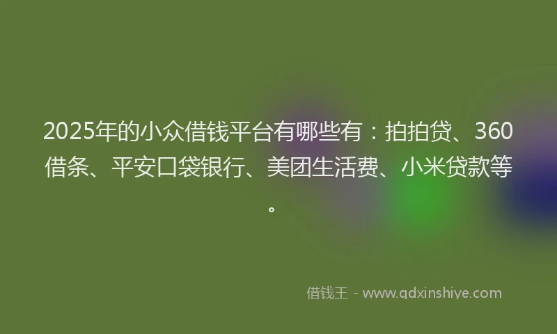2025年的小众借钱平台有哪些有：拍拍贷、360借条、平安口袋银行、美团生活费、小米贷款等。