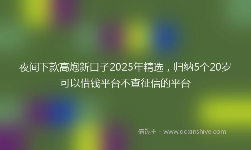 夜间下款高炮新口子2025年精选，归纳5个20岁可以借钱平台不查征信的平台