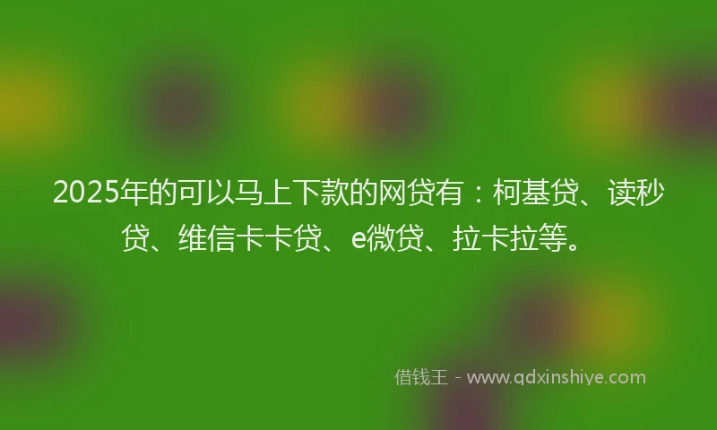2025年的可以马上下款的网贷有：柯基贷、读秒贷、维信卡卡贷、e微贷、拉卡拉等。