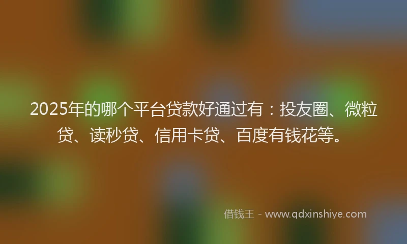 2025年的哪个平台贷款好通过有：投友圈、微粒贷、读秒贷、信用卡贷、百度有钱花等。