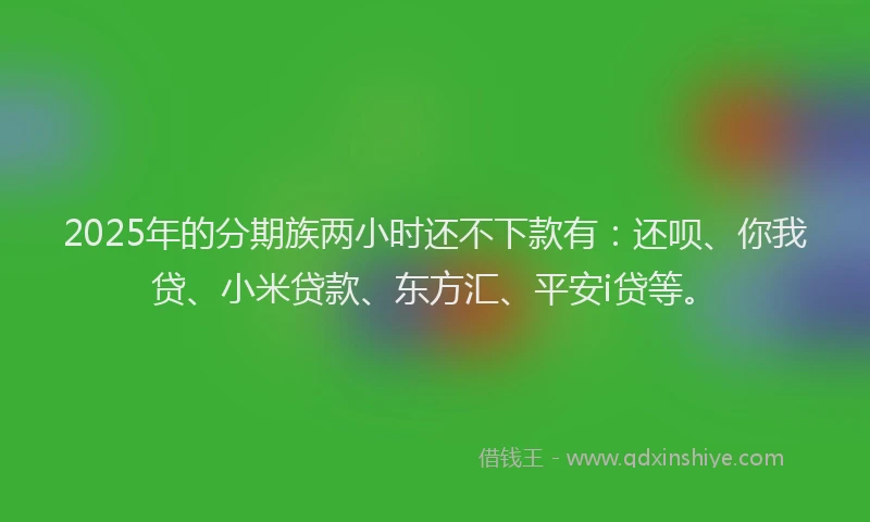 2025年的分期族两小时还不下款有：还呗、你我贷、小米贷款、东方汇、平安i贷等。