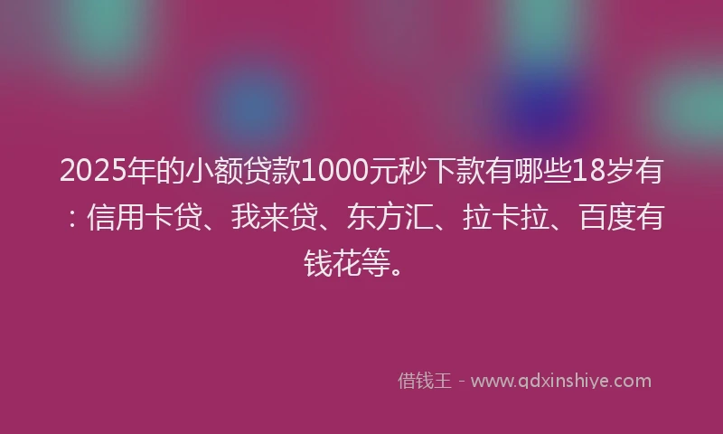 2025年的小额贷款1000元秒下款有哪些18岁有：信用卡贷、我来贷、东方汇、拉卡拉、百度有钱花等。
