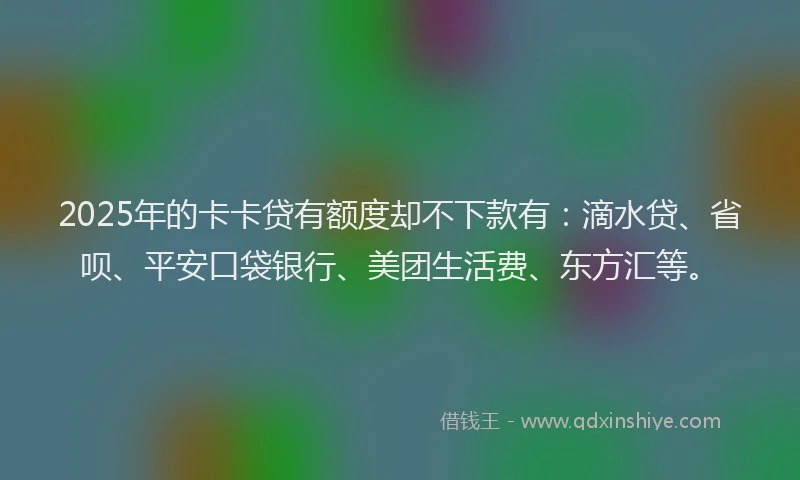 2025年的卡卡贷有额度却不下款有：滴水贷、省呗、平安口袋银行、美团生活费、东方汇等。