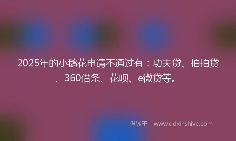 2025年的小鹅花申请不通过有：功夫贷、拍拍贷、360借条、花呗、e微贷等。