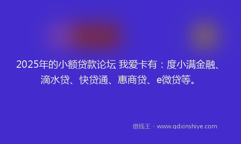 2025年的小额贷款论坛 我爱卡有：度小满金融、滴水贷、快贷通、惠商贷、e微贷等。
