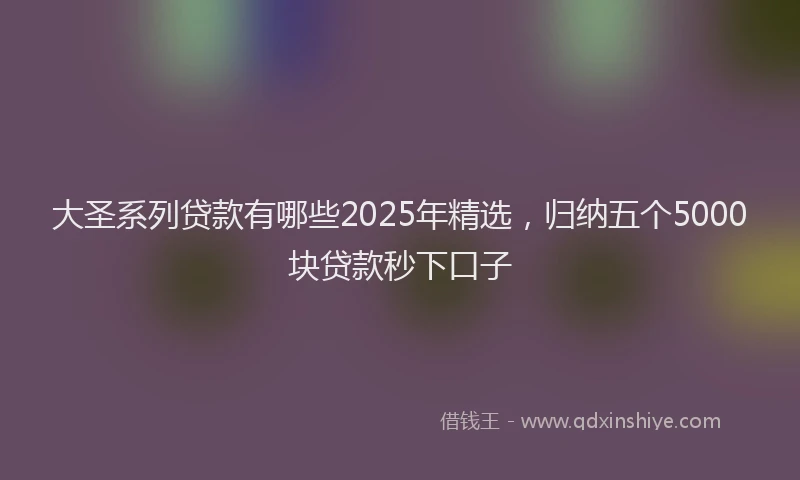 大圣系列贷款有哪些2025年精选，归纳五个5000块贷款秒下口子