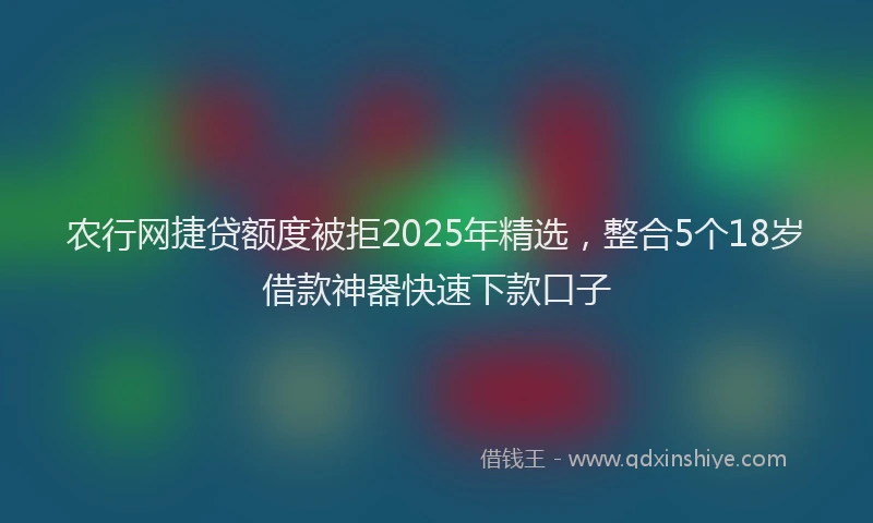 农行网捷贷额度被拒2025年精选，整合5个18岁借款神器快速下款口子