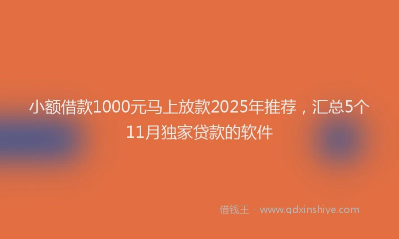 小额借款1000元马上放款2025年推荐，汇总5个11月独家贷款的软件