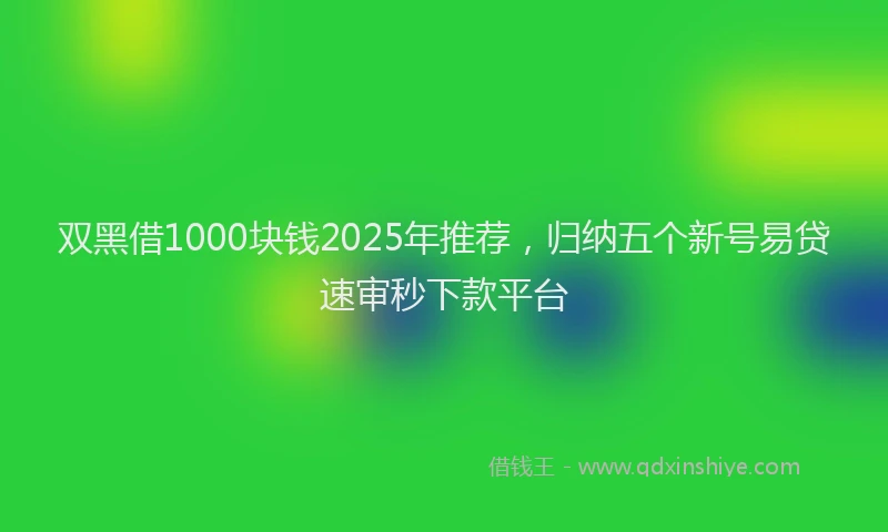 双黑借1000块钱2025年推荐，归纳五个新号易贷速审秒下款平台