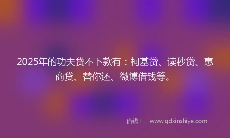 2025年的功夫贷不下款有：柯基贷、读秒贷、惠商贷、替你还、微博借钱等。