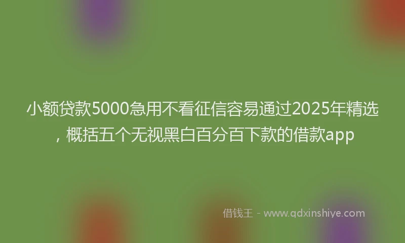 小额贷款5000急用不看征信容易通过2025年精选，概括五个无视黑白百分百下款的借款app