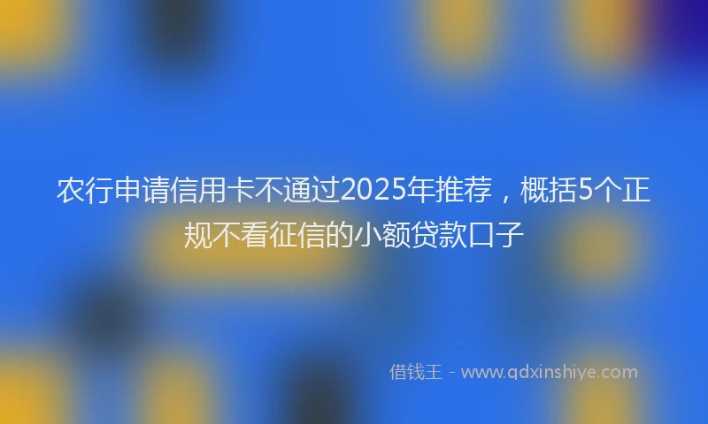 农行申请信用卡不通过2025年推荐，概括5个正规不看征信的小额贷款口子