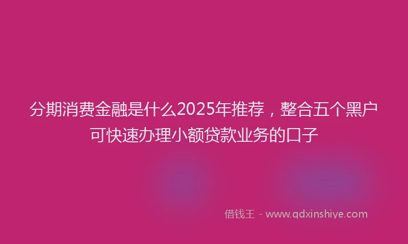 分期消费金融是什么2025年推荐，整合五个黑户可快速办理小额贷款业务的口子