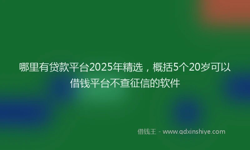 哪里有贷款平台2025年精选，概括5个20岁可以借钱平台不查征信的软件