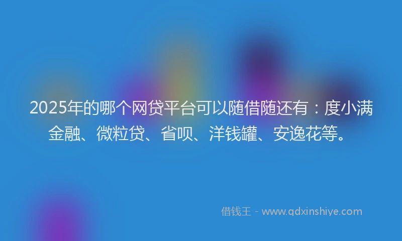 2025年的哪个网贷平台可以随借随还有：度小满金融、微粒贷、省呗、洋钱罐、安逸花等。