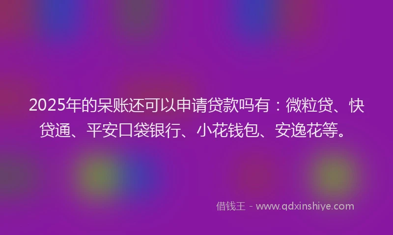 2025年的呆账还可以申请贷款吗有：微粒贷、快贷通、平安口袋银行、小花钱包、安逸花等。