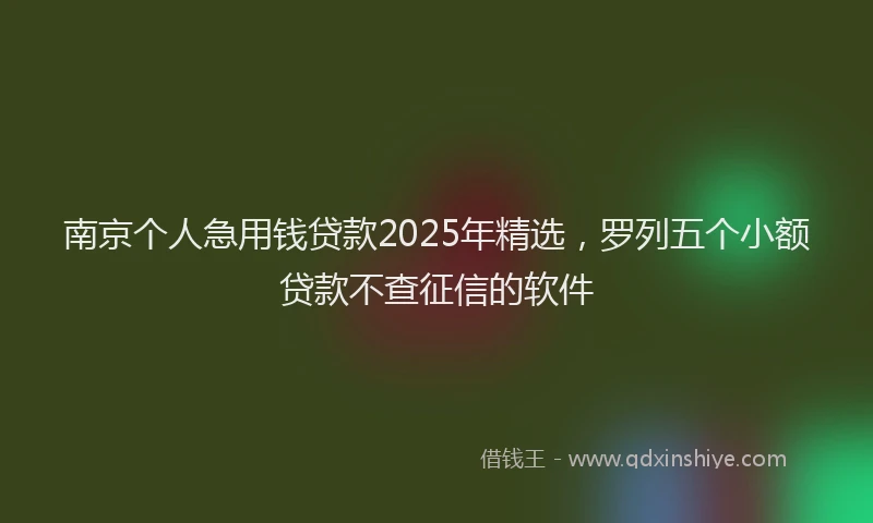 南京个人急用钱贷款2025年精选，罗列五个小额贷款不查征信的软件