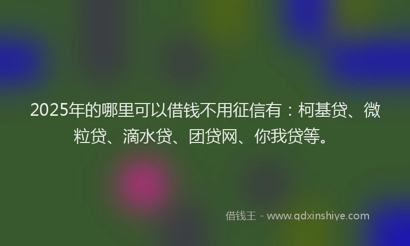 2025年的哪里可以借钱不用征信有：柯基贷、微粒贷、滴水贷、团贷网、你我贷等。
