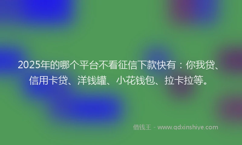 2025年的哪个平台不看征信下款快有：你我贷、信用卡贷、洋钱罐、小花钱包、拉卡拉等。