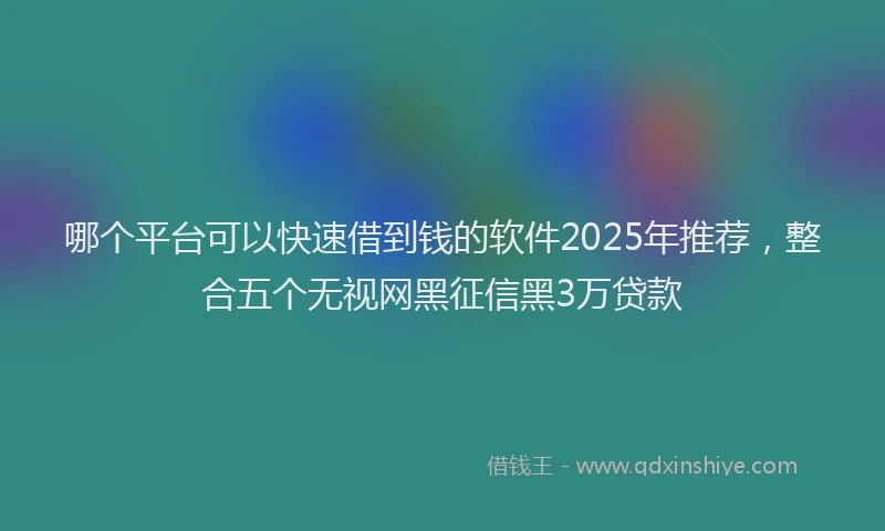 哪个平台可以快速借到钱的软件2025年推荐，整合五个无视网黑征信黑3万贷款