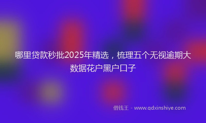 哪里贷款秒批2025年精选，梳理五个无视逾期大数据花户黑户口子
